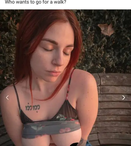 Image 12035994 from lucelf / lucrezia