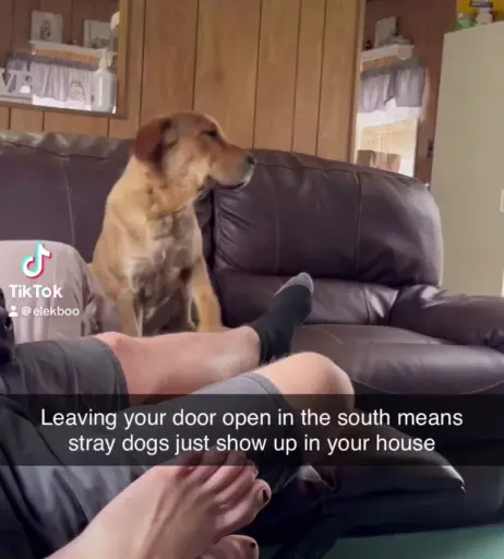 Image 12036180 from Elektra Kirby - elekboo elektrakirby |FanFix|