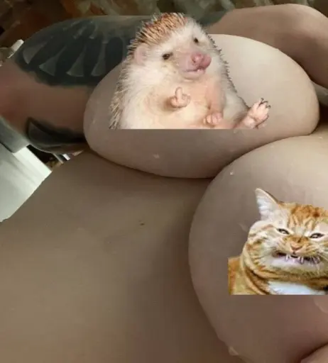 Image 12036003 from lucelf / lucrezia