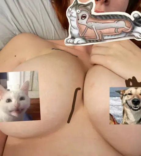 Image 12036002 from lucelf / lucrezia