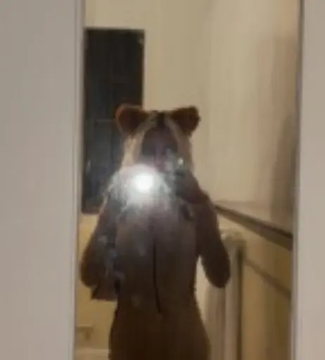 Image 12004957 from Tommy Genesis