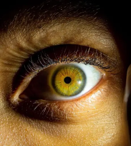 Image 12006063 from Lexcova / Lexay_X / Kingkorbel