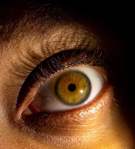 Image 12006059 from Lexcova / Lexay_X / Kingkorbel