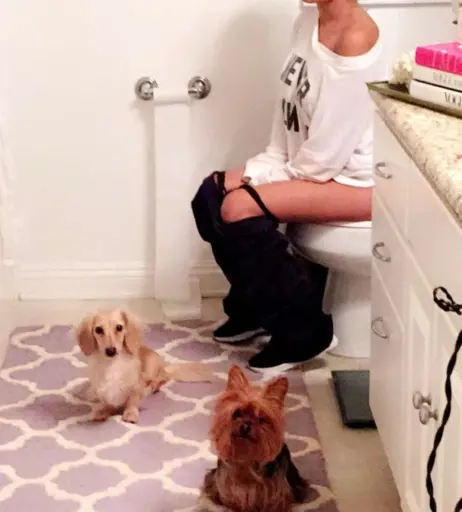 Image 12002459 from Mikaela Hoover