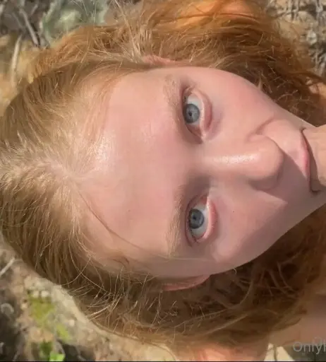 Image 12009071 from larameans