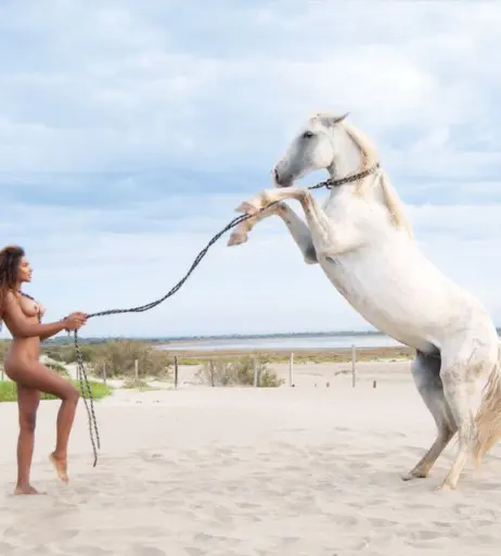 Image 12093294 from Samira Lui