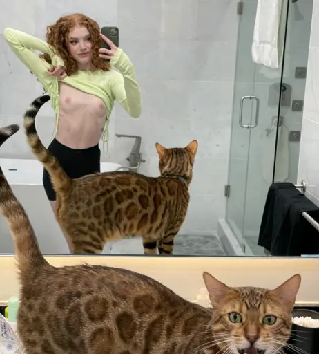 Image 12085549 from Zoe canbebought