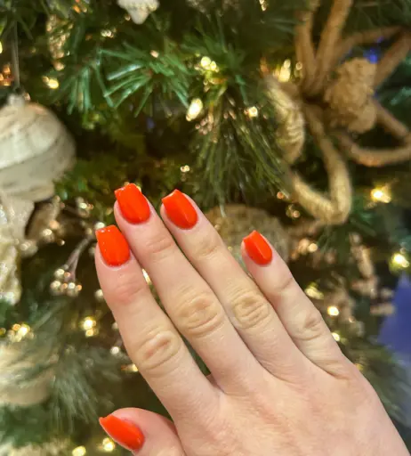 Image 13783128 from danigirl