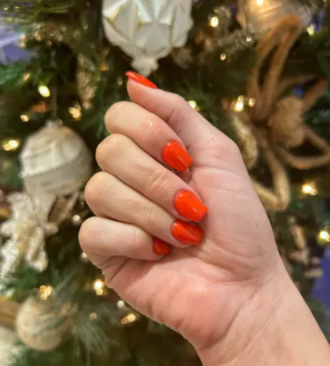 Image 13783179 from danigirl