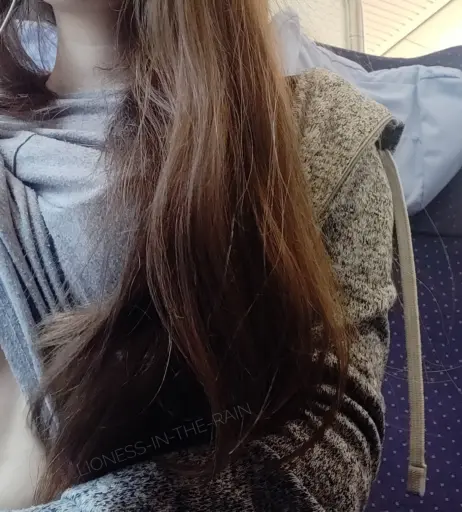 Image 136084 from Lioness in the Rain