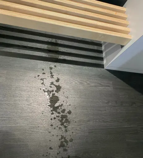 Image 13424758 from devilkittenfree