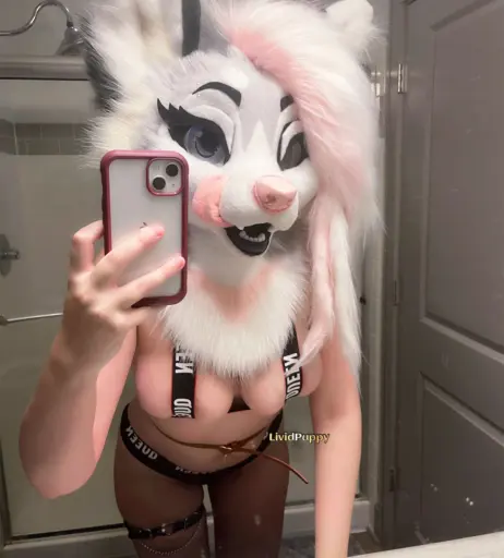 Image 13392355 from LividPuppy