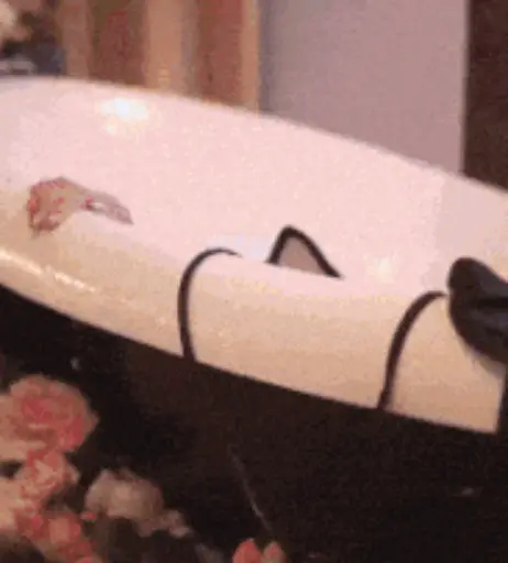 Image 131517 from Rocksy Light