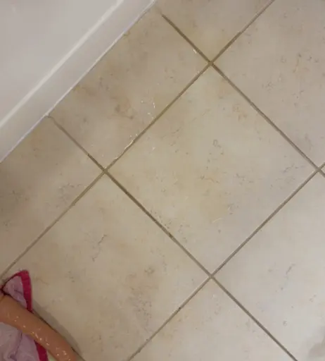 Image 18885696 from juliejuice0x
