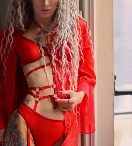 Image 1861335 from DinaCat