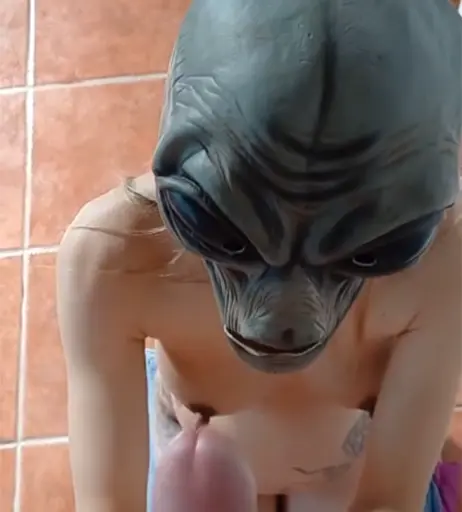 Image 1857952 from DinaCat