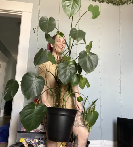 Image 1858835 from TinyToni