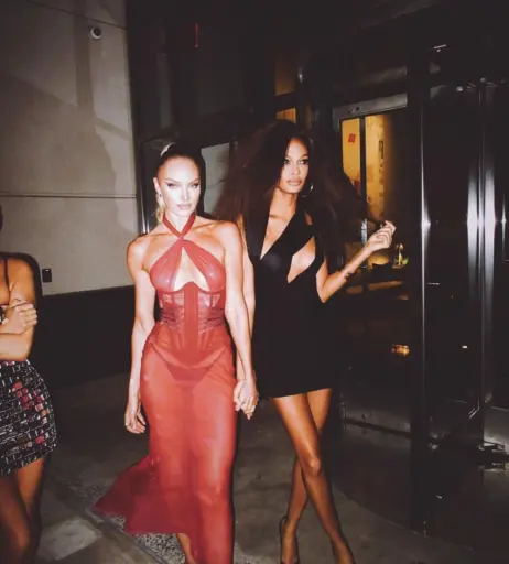 Image 1840066 from Candice Swanepoel