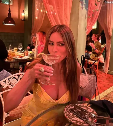 Image 1831565 from Sofia Vergara