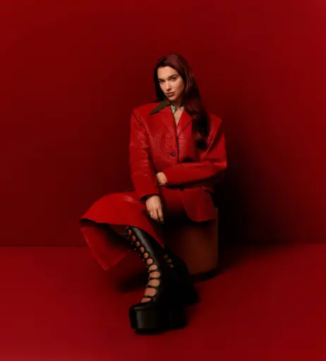 Image 1831024 from Dua Lipa