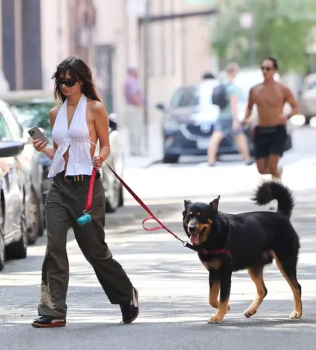 Image 1832856 from Emily Ratajkowski