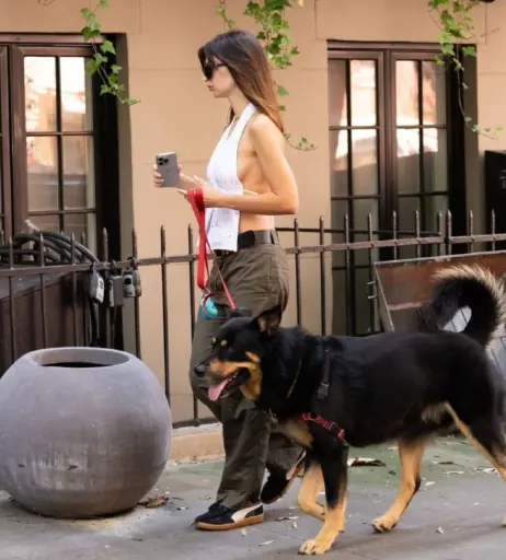 Image 1832303 from Emily Ratajkowski