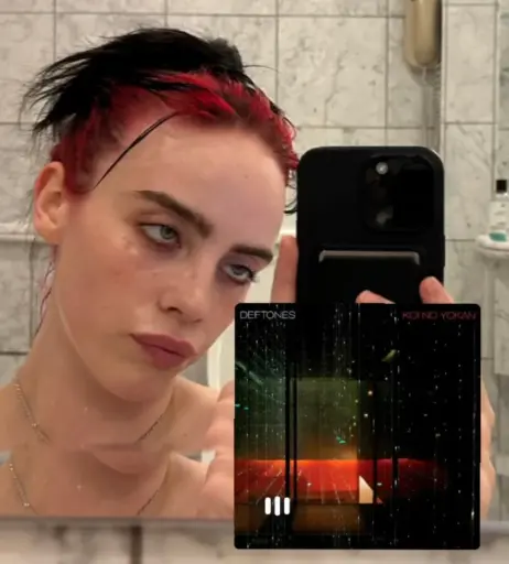 Image 1825555 from Billie Eilish