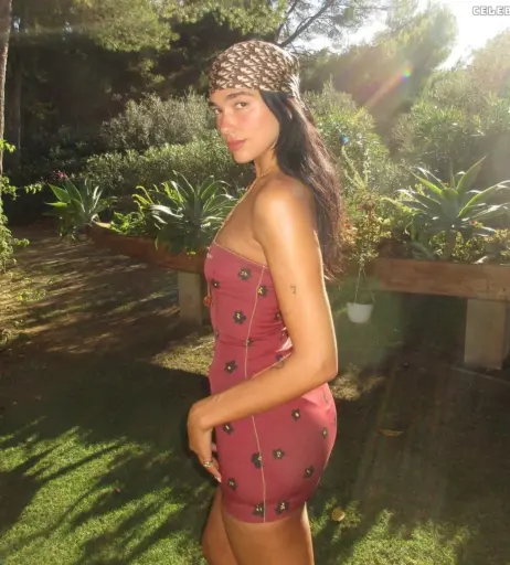 Image 1825449 from Dua Lipa