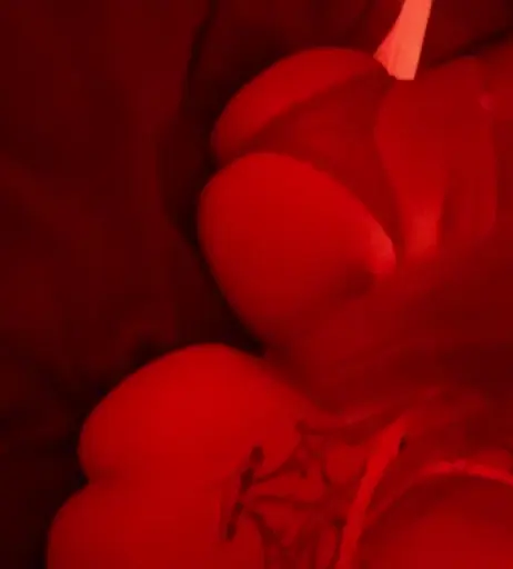 Image 1825433 from Sophioosh