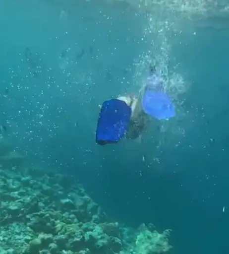 Image 1826553 from Sarah Engels