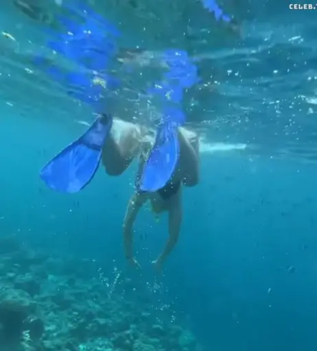 Image 1826524 from Sarah Engels