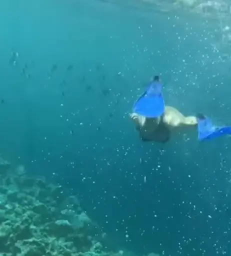 Image 1826404 from Sarah Engels