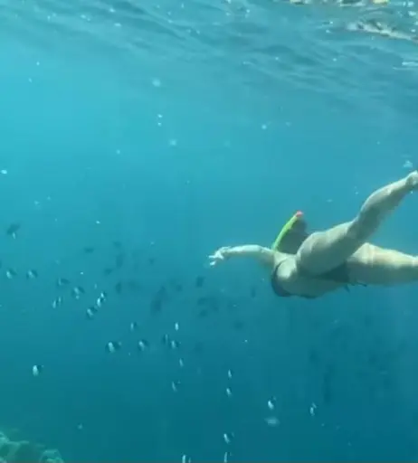 Image 1826435 from Sarah Engels