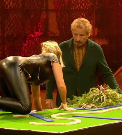 Image 1826607 from Evelyn Burdecki