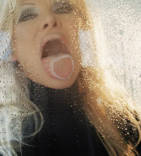 Image 1826192 from Pamela Anderson