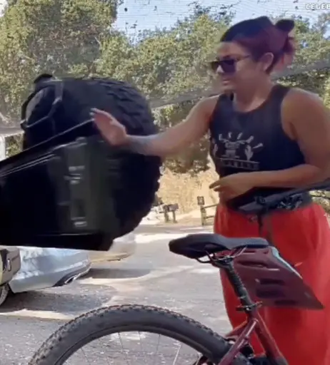 Image 1826055 from Bayley