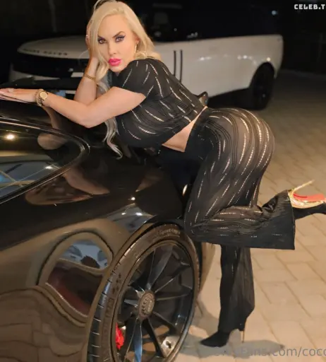 Image 1826054 from Nicole Coco Austin
