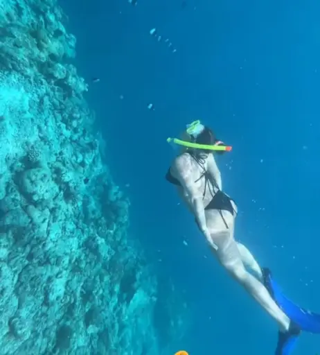 Image 1826245 from Sarah Engels