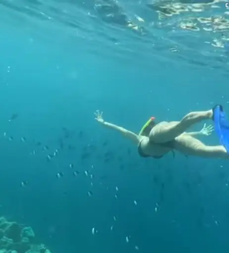 Image 1826224 from Sarah Engels