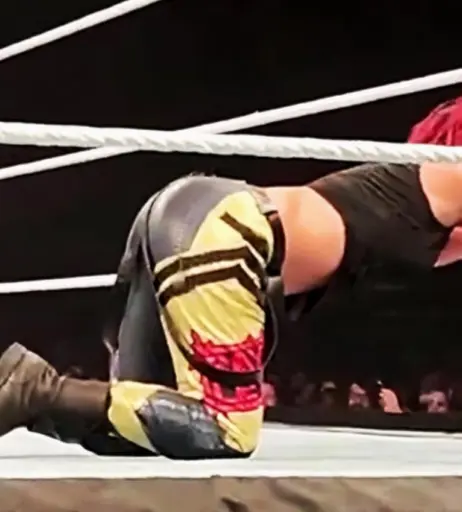 Image 1824964 from Bayley