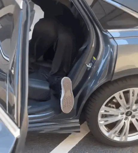 Image 1821734 from Shirin David