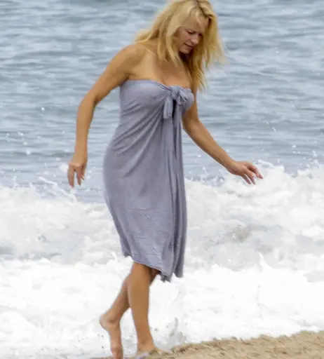 Image 1822511 from Pamela Anderson