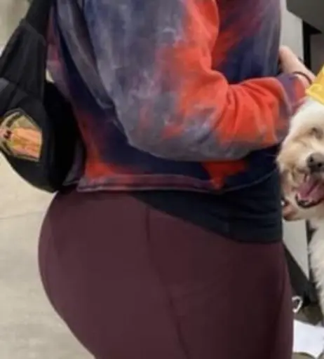 Image 1822683 from Bayley