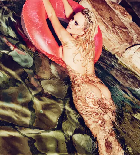 Image 1823580 from Pamela Anderson