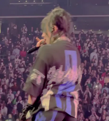 Image 1820086 from Billie Eilish