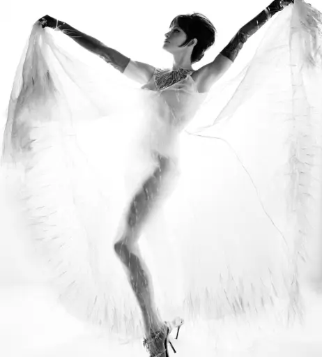 Image 1820214 from Pamela Anderson