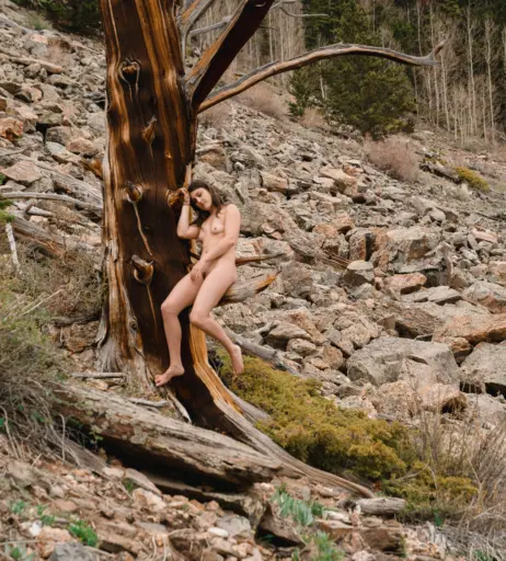 Image 1810946 from Claire Zeal