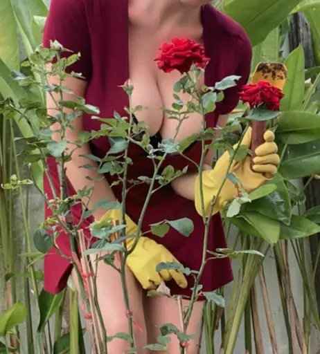 Image 18192988 from sigalblonde