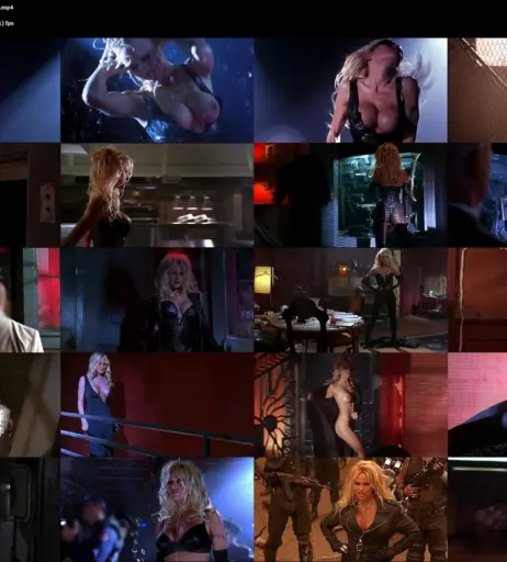 Image 1819214 from Pamela Anderson