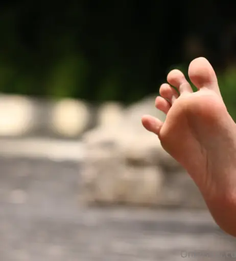 Image 18054497 from eurasian_feet